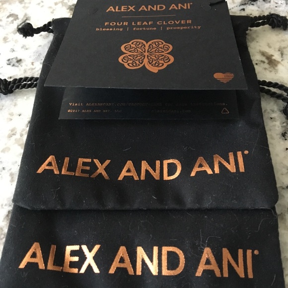 Alex and Ani Accessories - Alex and Ani pouches ~ 2